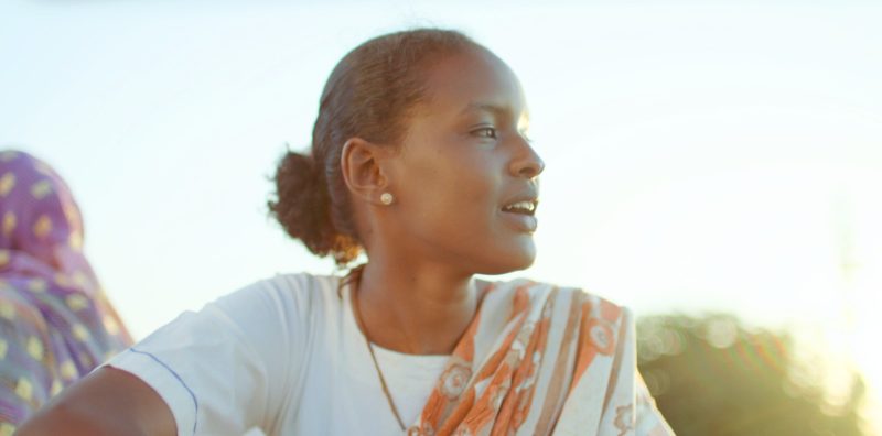 فيلم ملكة القطن